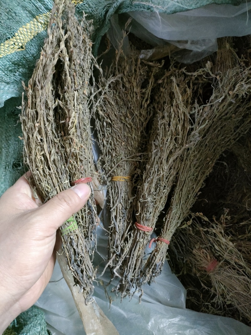 独脚金，疳积草，青绿色。100元一斤。