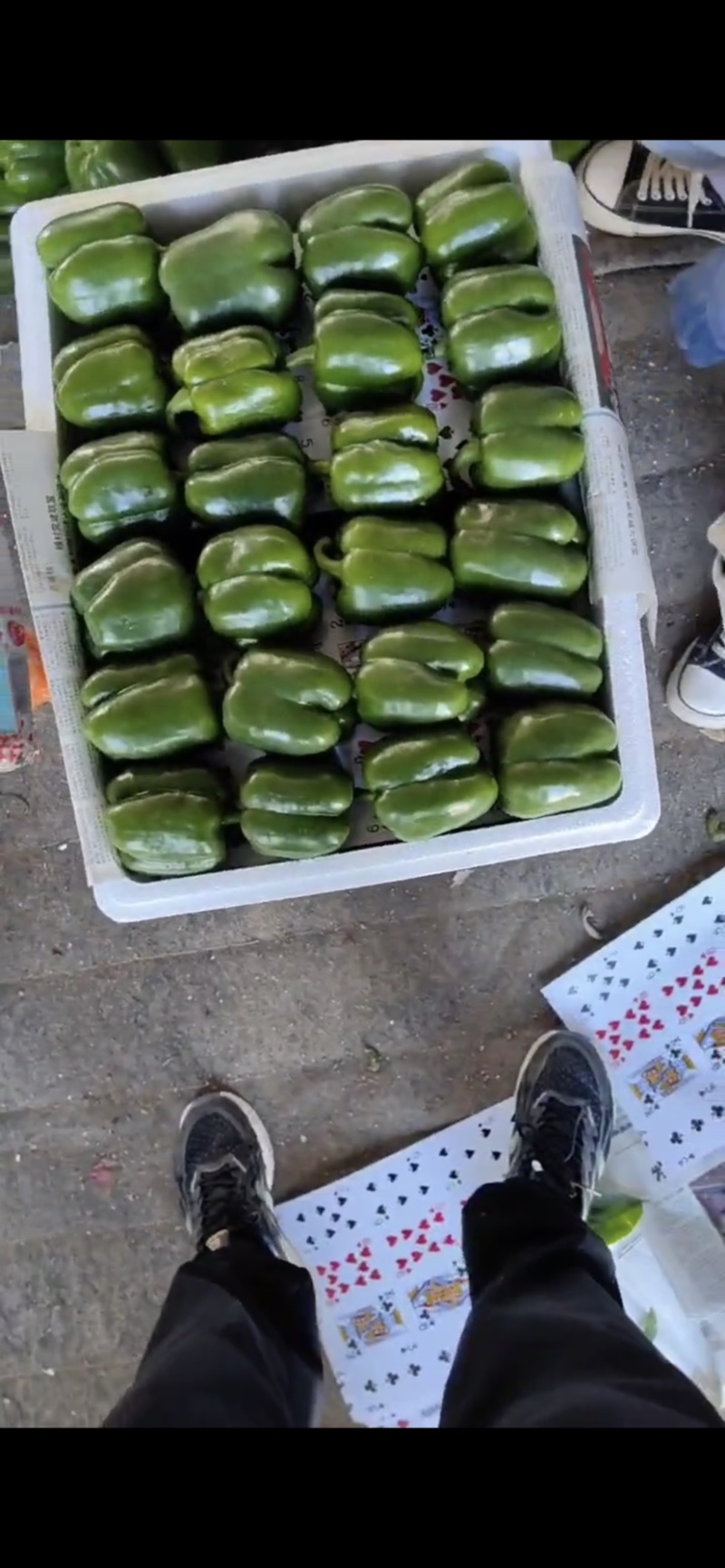 山东寿光彩椒，红圆椒，出口彩椒甜椒，外贸圆椒原产地直供。