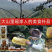 正宗大山野生蜂蜜百花蜜质量保证长期有货可视频看货