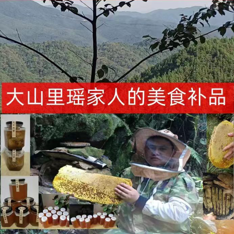 正宗大山野生蜂蜜百花蜜质量保证长期有货可视频看货