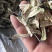 烘干茄子条(产地直销：才建干菜批发销售中心）