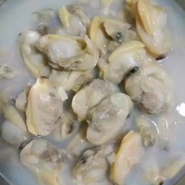 海蛎子生耗