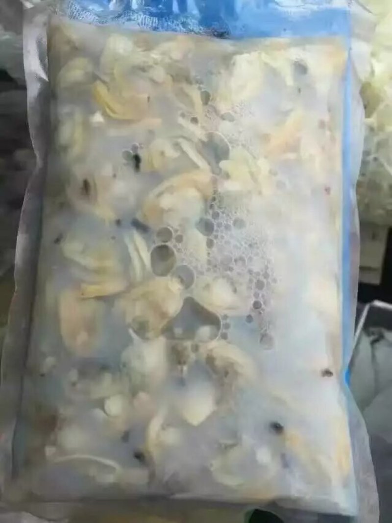 海蛎子生耗