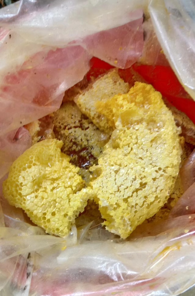 正宗大山野生蜂蜜百花蜜质量保证长期有货可视频看货