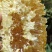 正宗大山野生蜂蜜百花蜜质量保证长期有货可视频看货