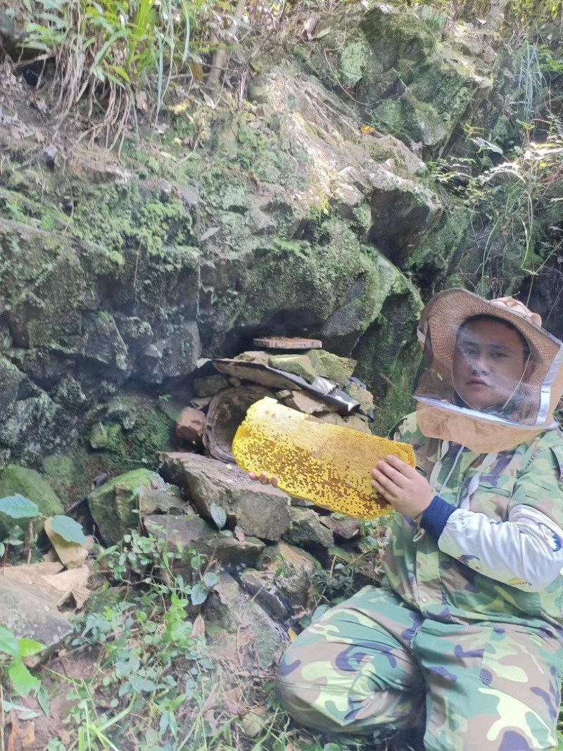 正宗大山野生蜂蜜百花蜜质量保证长期有货可视频看货