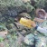 深山野生蜂蜜正宗百花蜜质量保证优质蜂蜜欢迎来电
