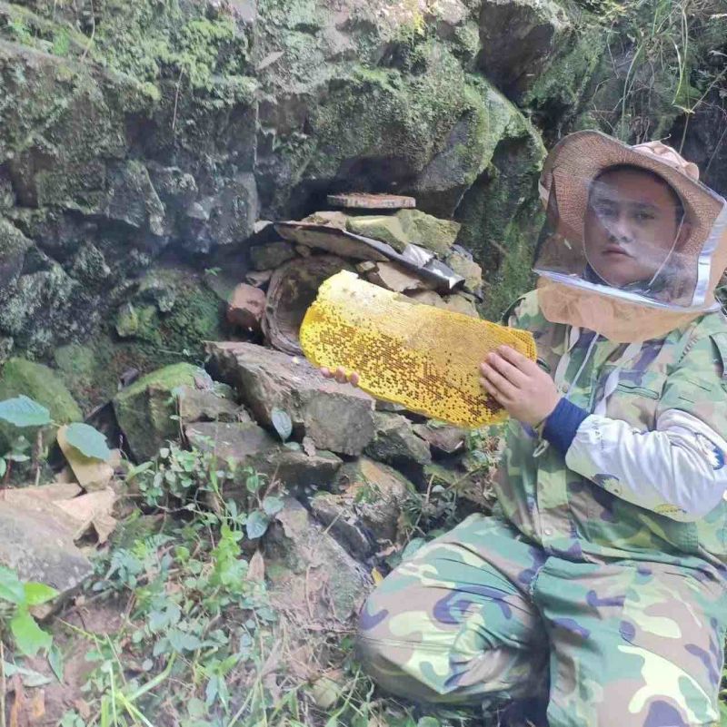 深山野生蜂蜜正宗百花蜜质量保证优质蜂蜜欢迎来电