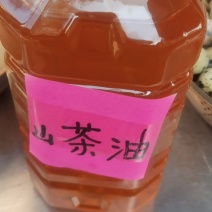 广西山茶油