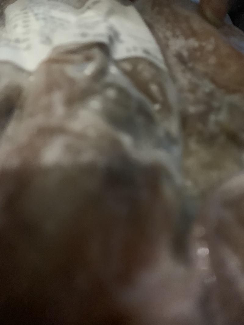 阿根廷鱿鱼