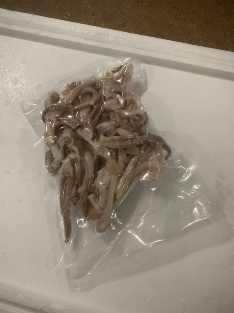阿根廷鱿鱼
