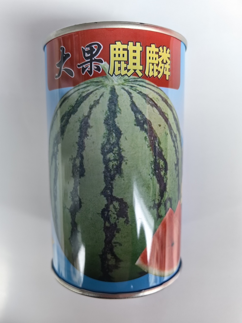 大果麒麟西瓜种子超甜冰糖耐裂红瓤超8424露地京欣圆西瓜