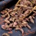 款冬花蜜冬花新货选关书药业批发各种规格中药材