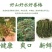 好山，好水，好香椿芽咸菜，味美可口！