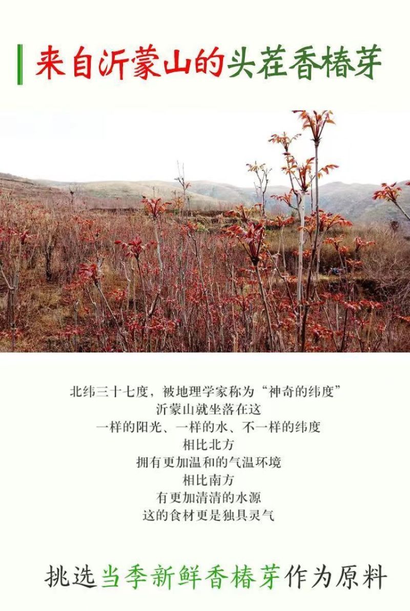 好山，好水，好香椿芽咸菜，味美可口！