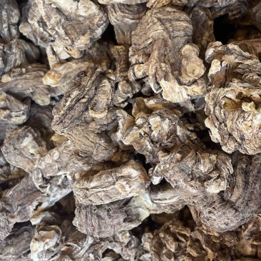 甘肃岷县当归头当归头片产地直供一手货源批发