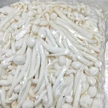 海鲜菇