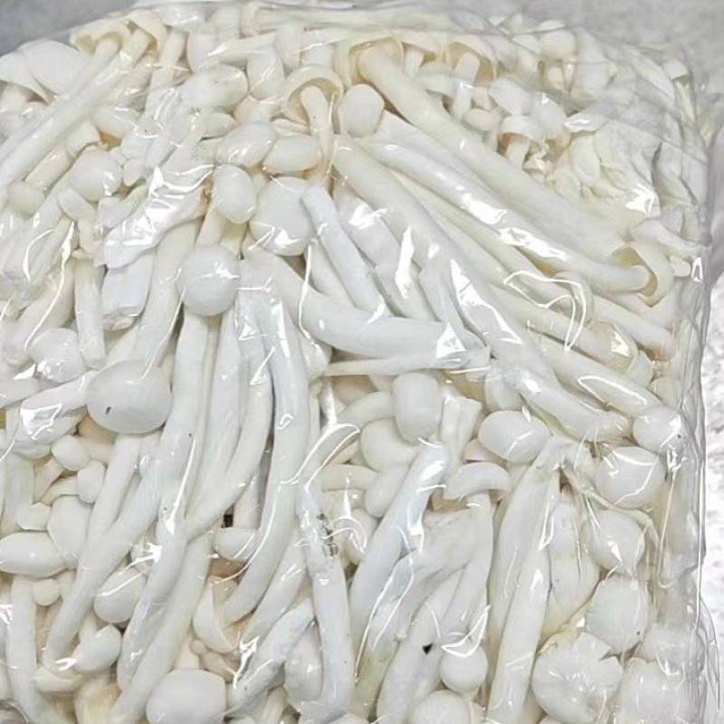 海鲜菇