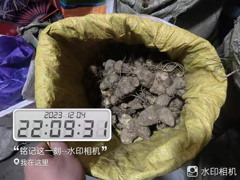 黄精野生黄精批发全国包发货需要黄精直接下单就可以