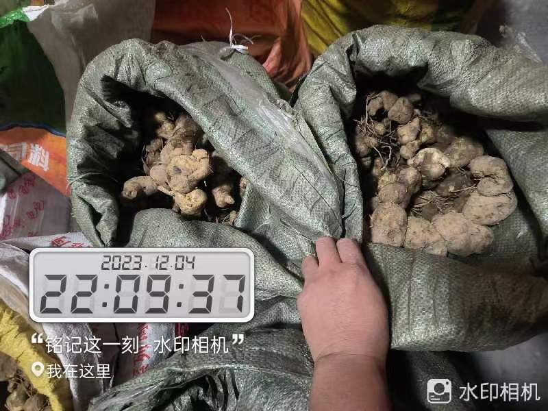 黄精野生黄精批发全国包发货需要黄精直接下单就可以