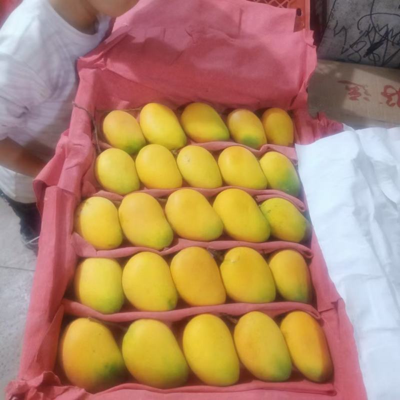 各种水果代卖代销沙糖桔沃柑黑提等等有需要的联系我