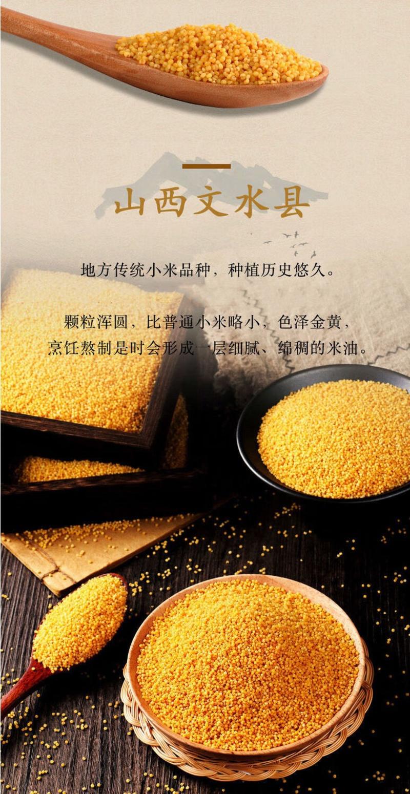 【热销】黄小米山西精选新米对接全国市场长期供应
