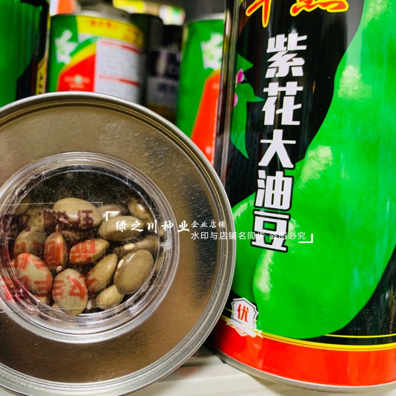 东北油豆角新品早熟紫花大油豆种子油亮宽荚肉厚扁条架豆种子