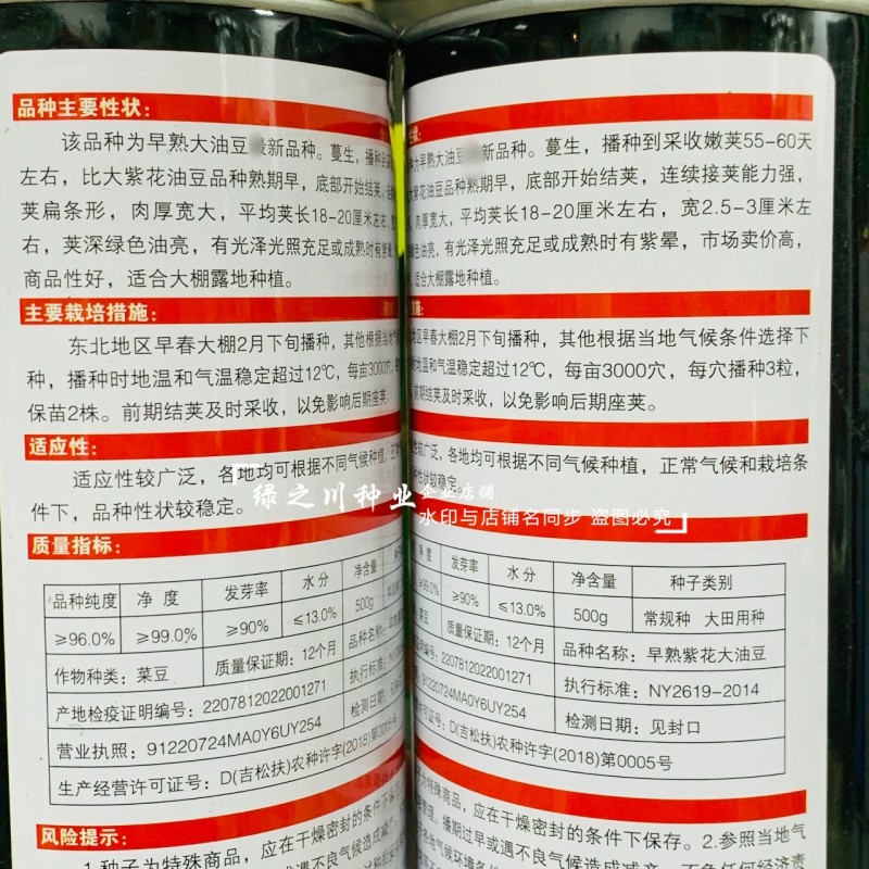 东北油豆角新品早熟紫花大油豆种子油亮宽荚肉厚扁条架豆种子