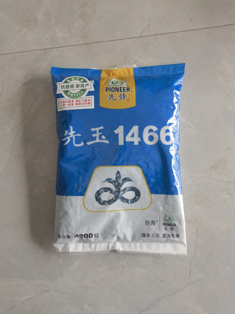 1466高产大棒特大抗旱矮杆抗病抗旱耐涝红轴玉米种子