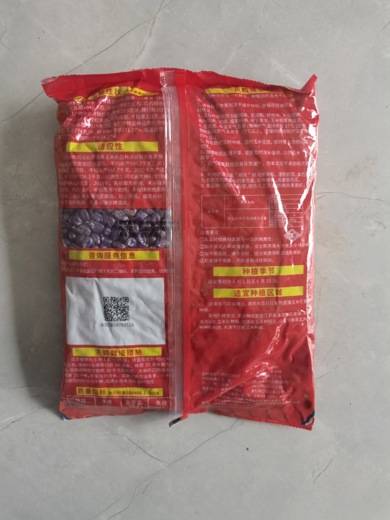 明天636高产大棒特大抗旱矮杆抗病抗旱耐涝红轴玉米种子