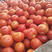 山西红彤彤的普罗旺斯西红柿番茄大量上市一手货源全国可发