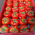 山西西红柿番茄柿子大量上市中对接各大电商平台