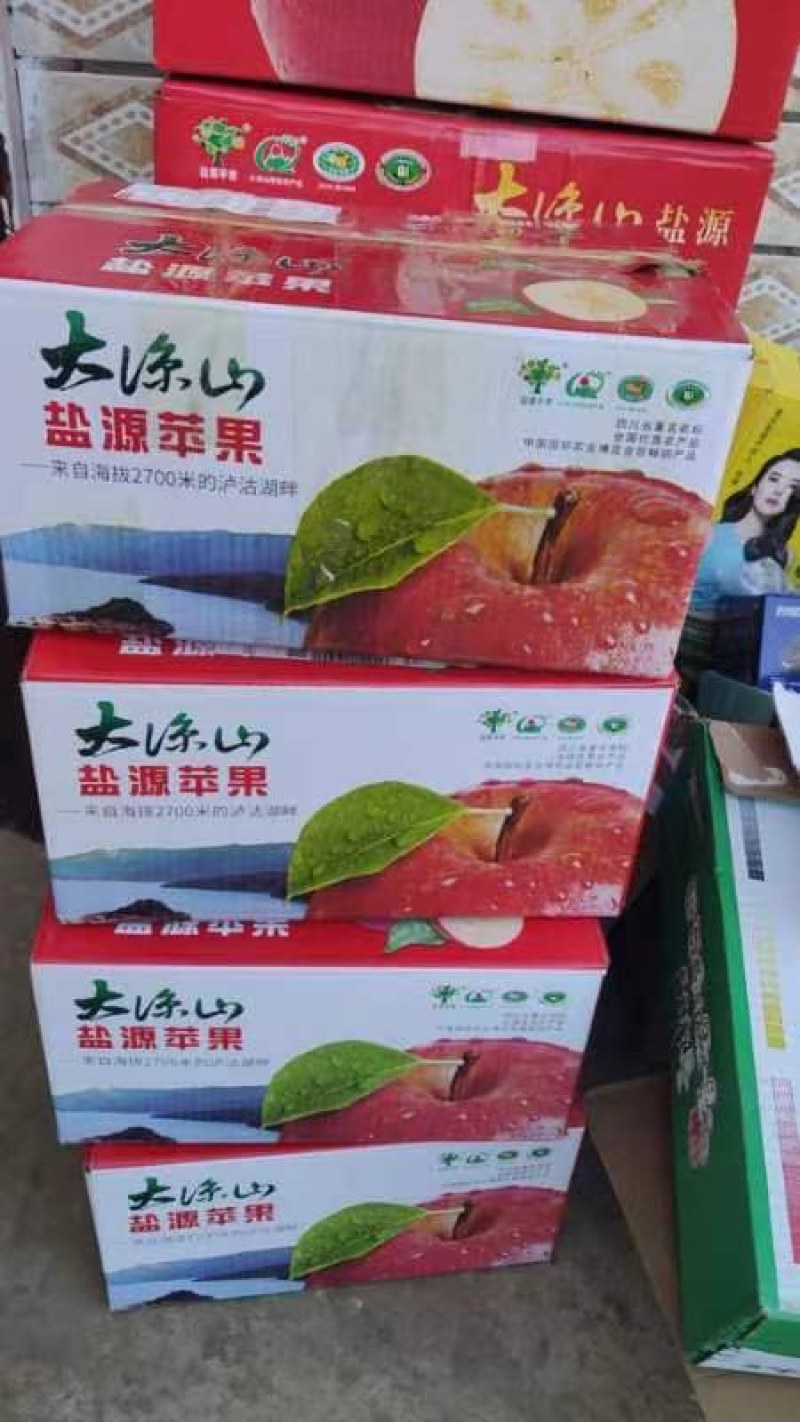 四川省大凉山盐源丑苹果