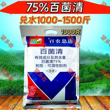 75%百菌清蓝粉保护性杀菌剂霜霉病真菌病害100克1千克