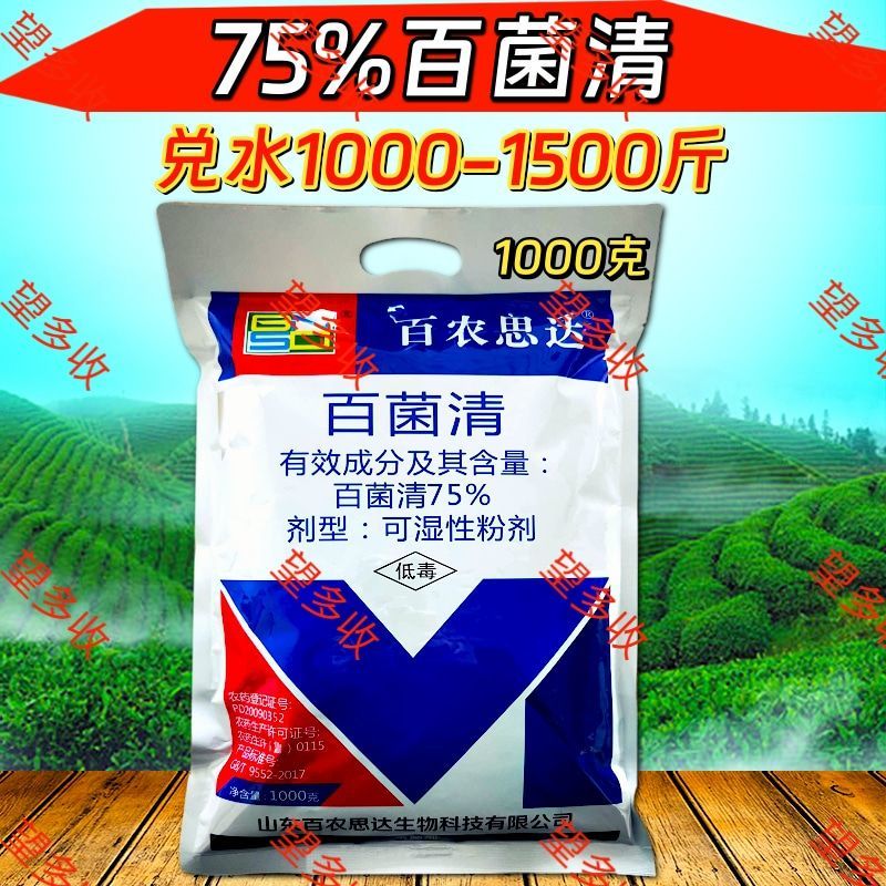 75%百菌清蓝粉保护性杀菌剂霜霉病真菌病害100克1千克