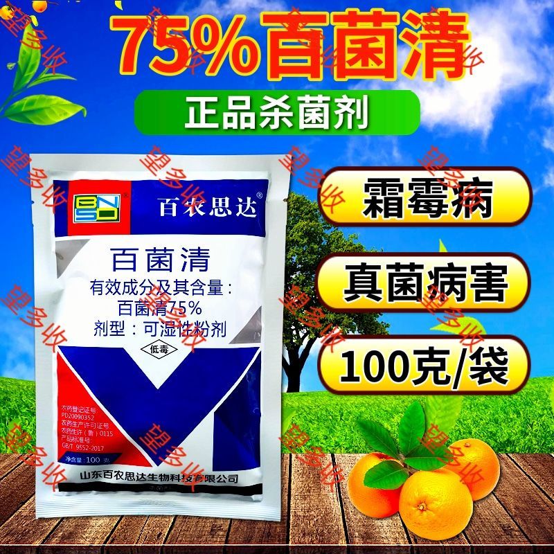 75%百菌清蓝粉保护性杀菌剂霜霉病真菌病害100克1千克