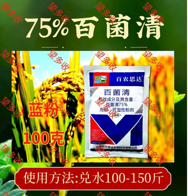 75%百菌清蓝粉保护性杀菌剂霜霉病真菌病害100克1千克