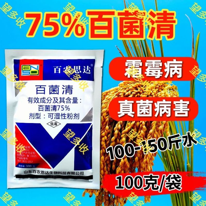 75%百菌清蓝粉保护性杀菌剂霜霉病真菌病害100克1千克