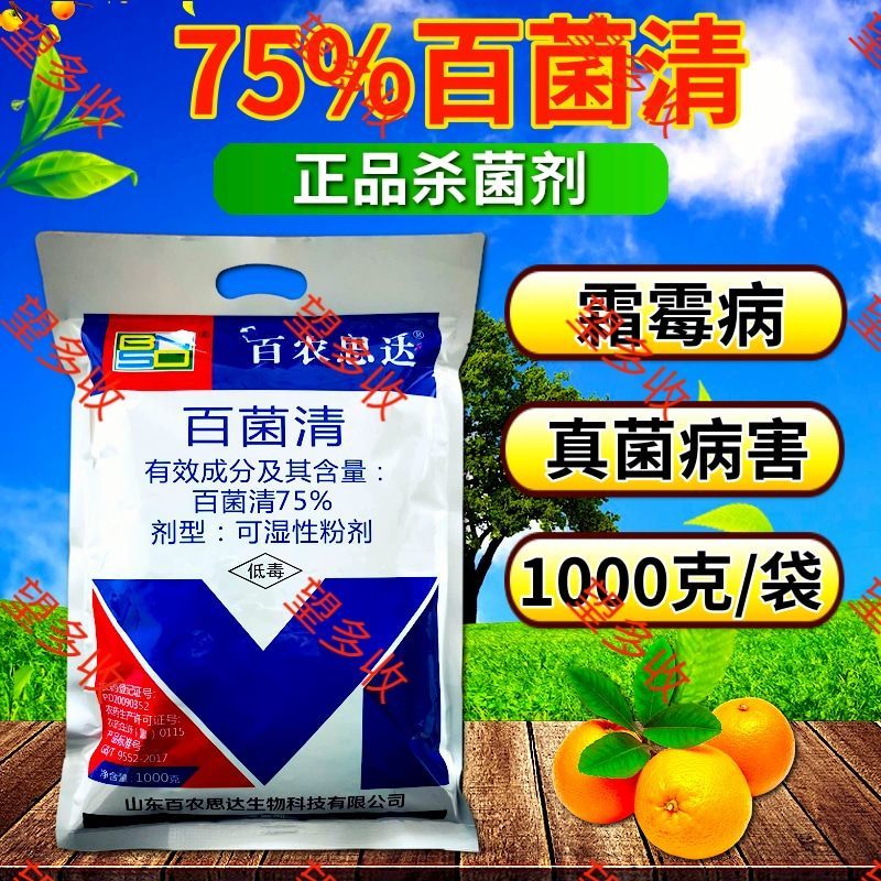 75%百菌清蓝粉保护性杀菌剂霜霉病真菌病害100克1千克