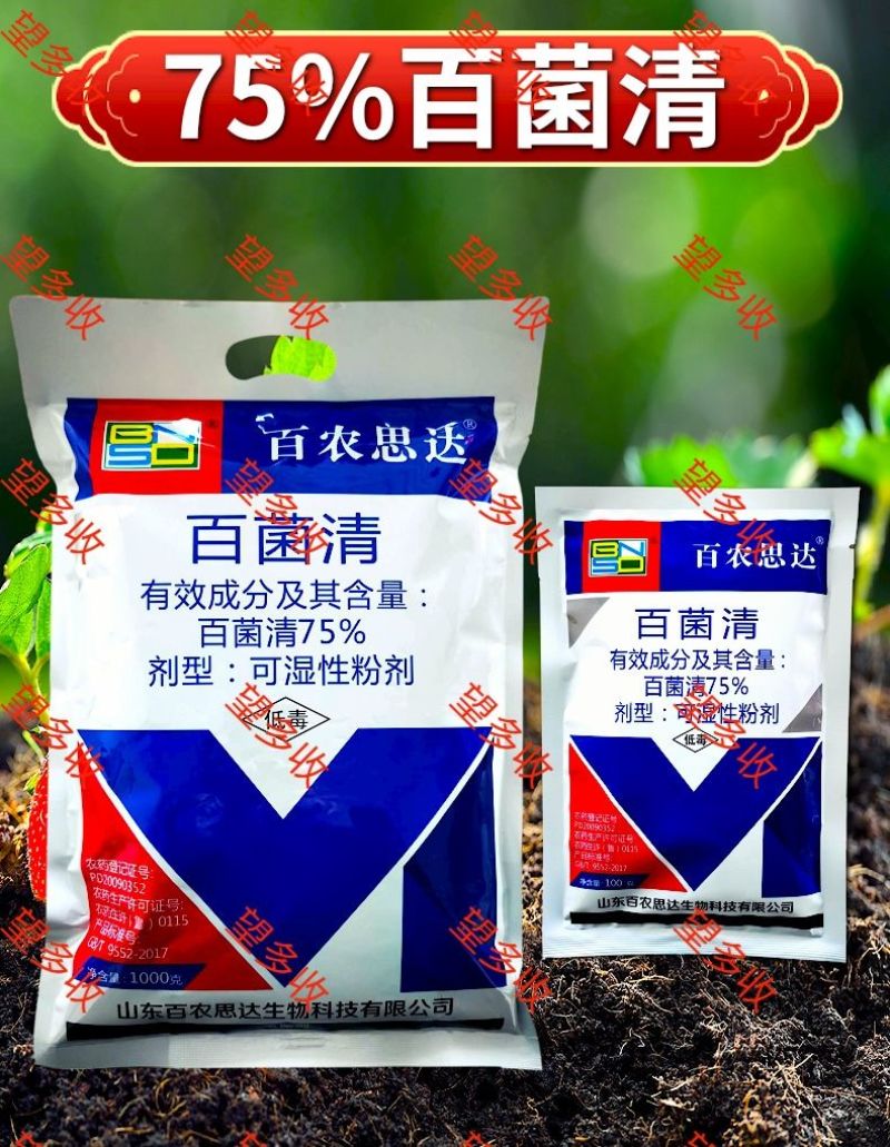 75%百菌清蓝粉保护性杀菌剂霜霉病真菌病害100克1千克