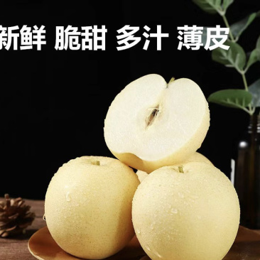 【优选】河北皇冠梨皮薄多汁可长期合作货源充足欢迎来电