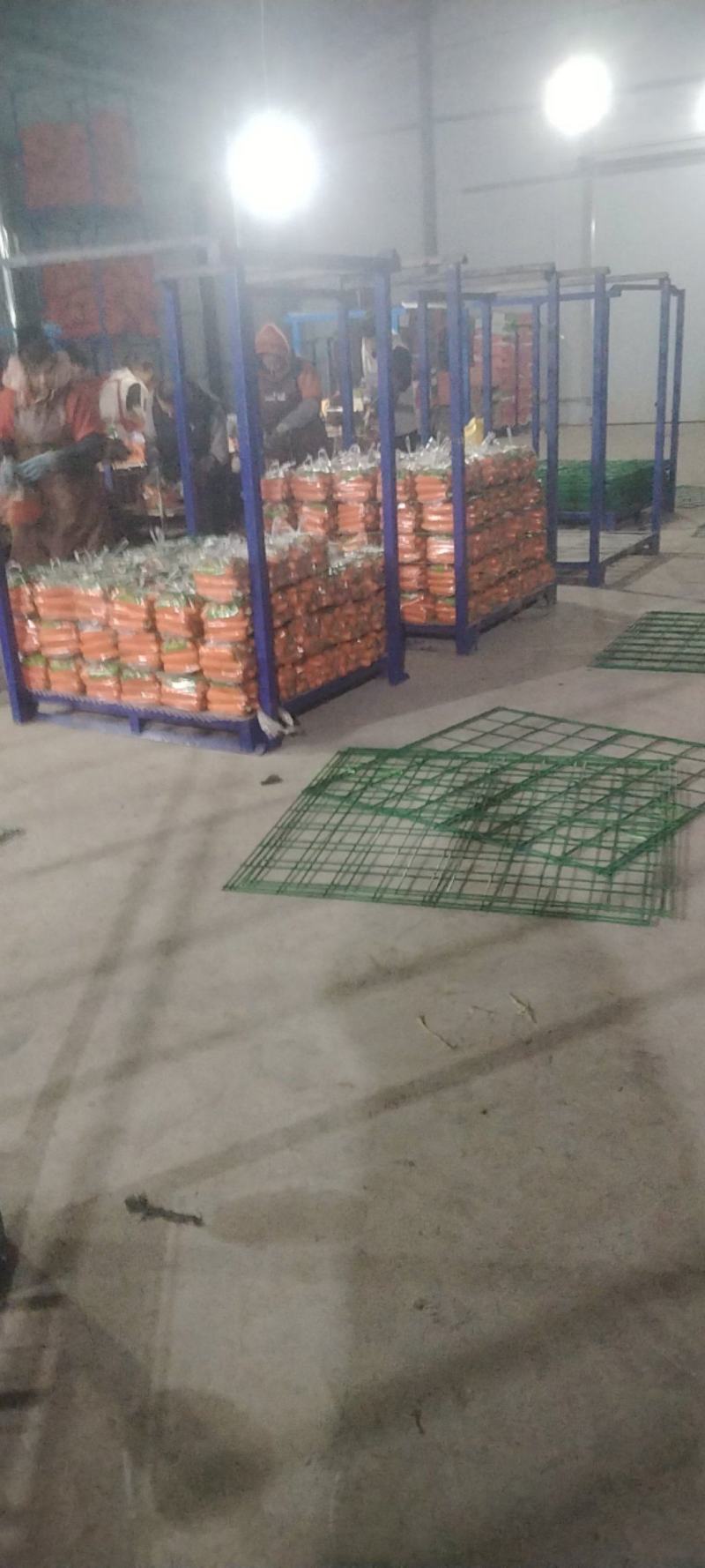 小顶红胡萝卜加工，水洗，干货。20斤包，10斤包，各种包装。
