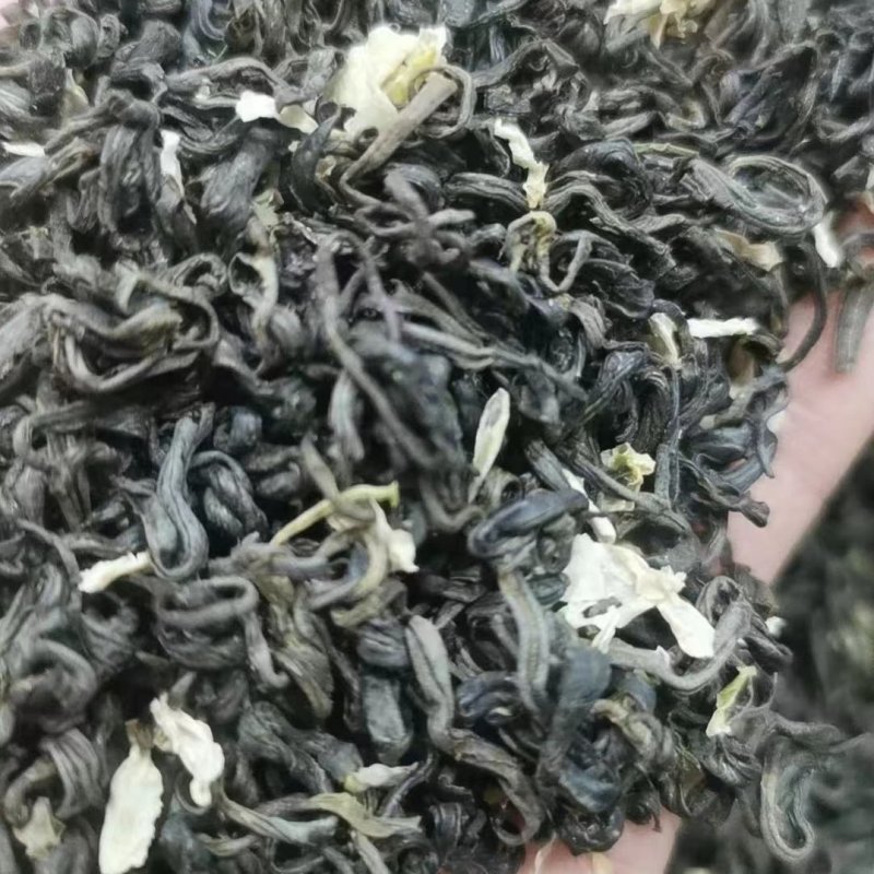 四川优质茉莉花茶，三窨二炒品质保证，性价比超高，大量供应