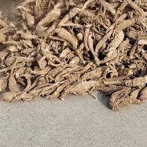 白芷干货