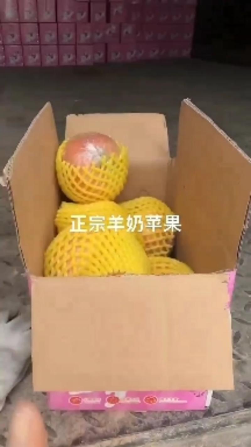 《社区团购专业供应链》山西省临猗县冰糖心红富士苹果供应，