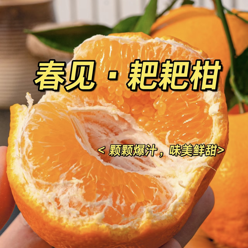 【优选】四川黄果柑-一件代发-抖音，电商货大量现货