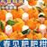 【优选】四川黄果柑-一件代发-抖音，电商货大量现货