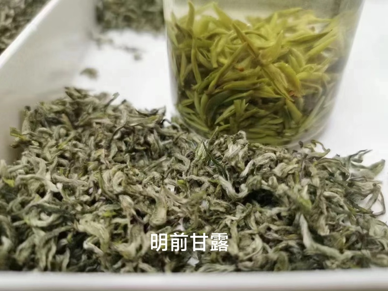 明前蒙顶甘露，源头甄选，质量保证，大量供应，可袋装可礼盒