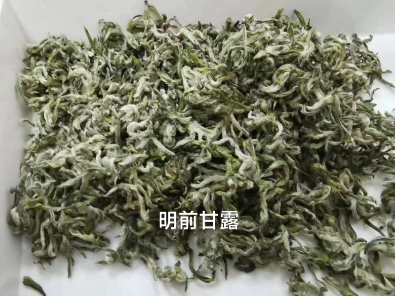 明前蒙顶甘露，源头甄选，质量保证，大量供应，可袋装可礼盒