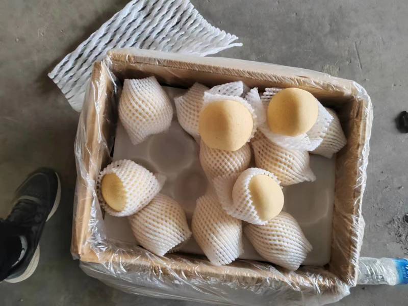 河北【皇冠梨】水晶梨箱装筐装规格齐全产地直发